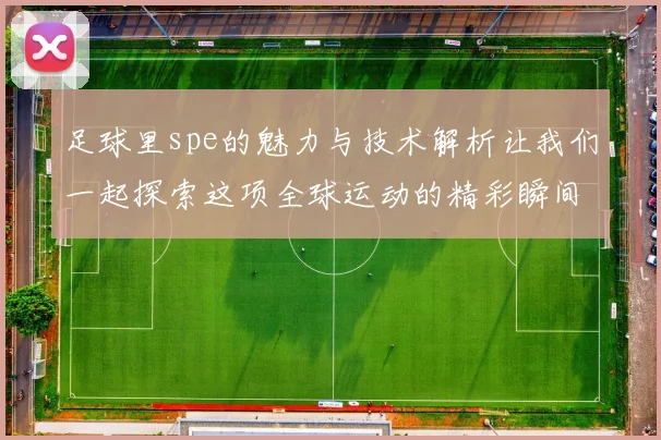 足球里spe的魅力与技术解析让我们一起探索这项全球运动的精彩瞬间